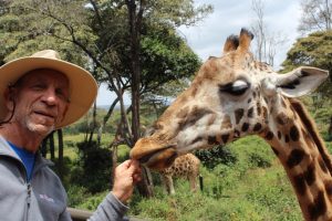 Richard feeding a giraffe